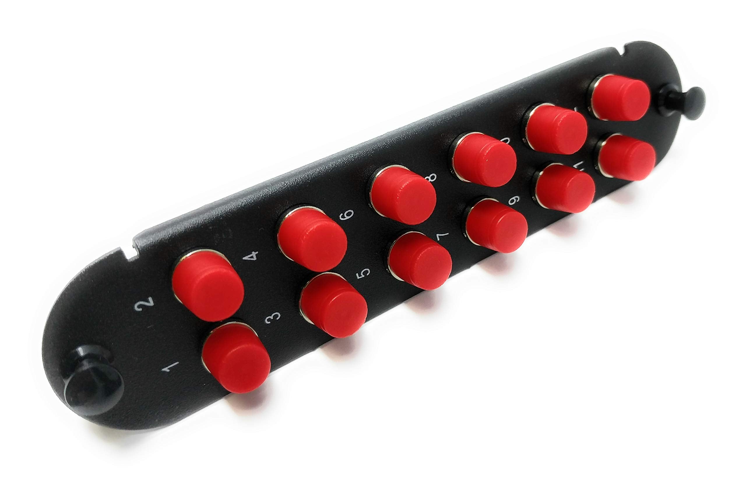 RiteAV - CCH FC/FC (12 Port Simplex w/12 Fiber Connectors) Adapter Pan ...