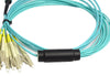 OM3 - 10Gb Multimode (50/125) - 12 Strand - Fiber Optic Cable - MPO to 12xLC - Plenum