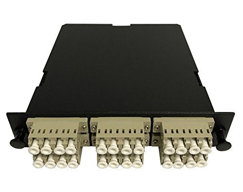 RiteAV LGX Footprint Pre-terminated MTP Cassette - MTP Male, 24 Fiber to LC Quad Multimode Adapters, 6 Ports, Includes 12 LC Multimode Hydra Cable (30cm, OFNR) + 2 MTP Adapter