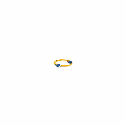 Fiber Optic Cable SC/SC Single Mode Duplex - 2 meter (9/125 Type)