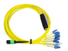 APC/APC - Singlemode (9/125) - 12 Strand - Fiber Optic Cable - MPO to 12xLC