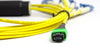 APC/APC - Singlemode (9/125) - 12 Strand - Fiber Optic Cable - MPO to 12xLC