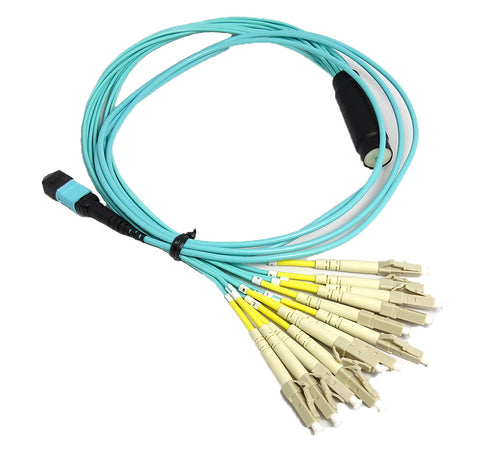 OM3 - 10Gb Multimode (50/125) - 12 Strand - Fiber Optic Cable - MPO to 12xLC - Plenum