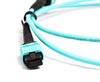 OM3 - 10Gb Multimode (50/125) - 12 Strand - Fiber Optic Cable - MPO to MPO